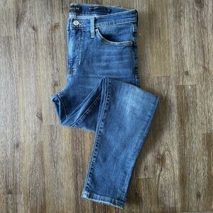 Banana Republic Mid-Rise Skinny Jean Size 29